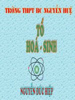 Anh huong cua moi truong len su bieu hien cua gen