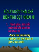 bài tiểu luận