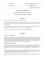 NĐ 85 CT. TTG. CHÍNH PHỦ.doc