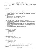 Bai 12. Co che xac dinh gioi tinh