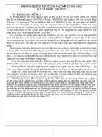 SKKN CỦA HIỆU TRƯỞNG TIỂU HỌC