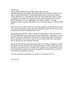 Hướng nghiệp bằng cách xem chỉ tay