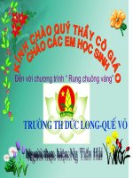 thi rung chuong vang