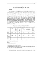 CUNG VỐN MẠO HIỂM Ở VIỆT NAM