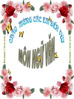 Bài giảng ngữ văn 8