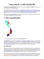 Vùng Trung du và miền núi Bắc Bộ