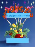 NV 8 :Đập đá ở Côn Lôn