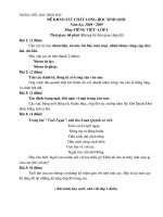 Tuyển tập đề thi HSG tiểu học