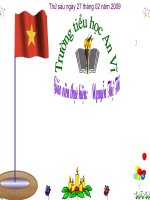 TNXH1: Bài Cây gỗ