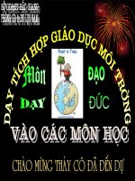 Tích hợp GDBVMT vào môn Đạo đức