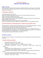 DANH TỪ  & MẠO TỪ