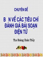 BDTX7 Hè 2009 Tiêu Chí ĐG BG ĐT