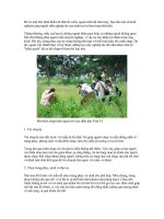 Để có một bức hình thiếu nữ thật lôi cuốn