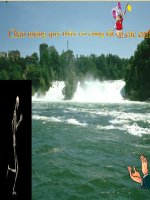 tiết 8: Cấu tạo và tính chất của xương