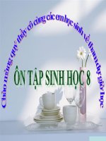 Ôn tập sinh học 8