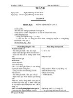 GA-L.5-Tuân 8 - nam 2010