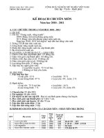 Kế hoạch chuyên môn năm học 2010-2011