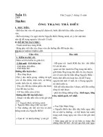 Giáo án 4 - Tuần 11 (CKT2010)