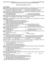 KT 1 tiết số 1. VL11NC