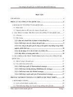 Các công ty đa quốc gia và chiến lược phát triển hiện nay