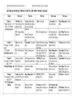 Hoạt động Hè 2009