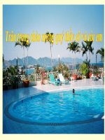 sinh 9ai 13: Di truyền liên kết