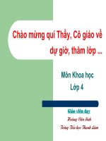 Tiếng Việt 4.Tập 1