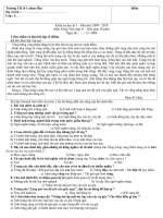 Tiếng Việt (đọc thầm)