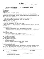 giao an lop3 2010-2011