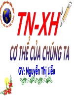 Cơ thể của chúng ta- bài 1-TNXH lớp 1-năm học 2009-2010