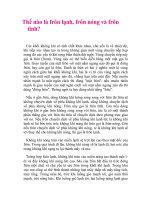 Thế nào là frôn lạnh, frôn nóng và frôn tĩnh.doc