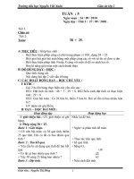 Guáo án lớp 2 - Tuần 5-2010