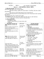 Giáo án văn 6 trọn bộ