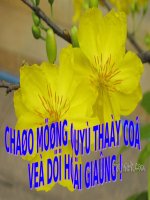 T_22_Vẽ tranh ngày Tết và mùa Xuân