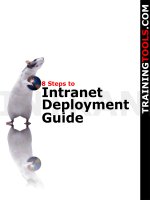 8 step to intranet development guide