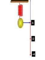 dao dong con lac lo xo