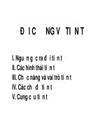 ĐẠI CƯƠNG VỀ TIỀN TỆ