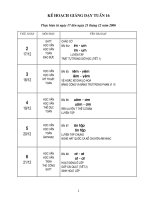 Tuần 16 lớp 1 SN