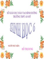 bài 18: biến dạng của thân