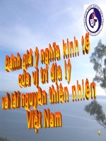 Đánh giá ý nghĩa KT của VTĐL& TNTN Việt Nam