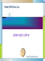 Tiet.14-Bach cau-Mien dich