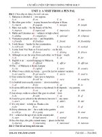 BÀI TẬP LUYỆN TẬP THEO CHƯƠNG TRÌNH SGK 9 (UNIT 1)