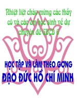 Hoc tap dao duc Ho chi Minh
