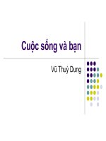 CUỘC SỐNG VÀ BẠN