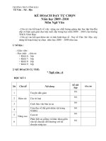 kế hoạch dạy tự chọn NGỮ VĂN  THCS