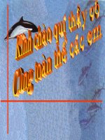 Tiết 14: Hoạt tính muối