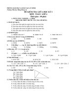 Đề kiểm tra GHK I Toán 4 CKTKN