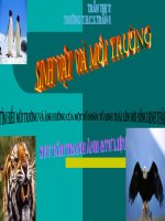 sinh vat va moi truong