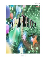 Thực hành : Ô NHIỄM MÔI TRƯỜNG