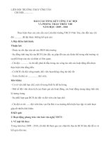 Mẫu báo cáo tổng kết hoạt động đội